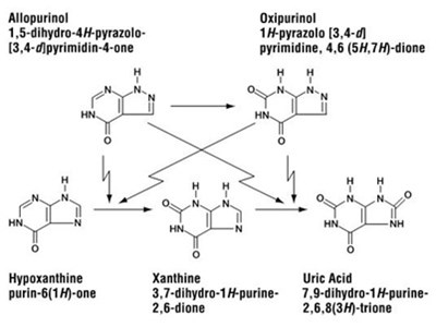 allopurinol-2.jpg allopurinol - allopurinol 2