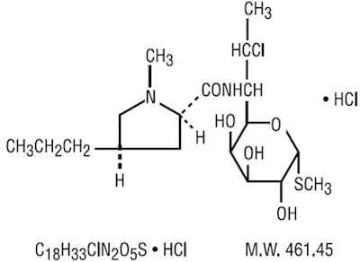 Structure.jpg Structure - Structure