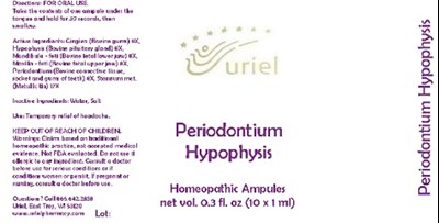 Periodontiumhypophysisampules