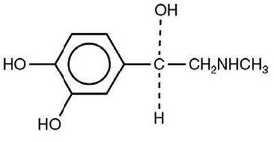epinephrine-spl-structure - epinephrine spl structure