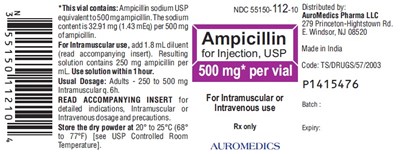 ampicillin-fig3.jpg PACKAGE LABEL-PRINCIPAL DISPLAY PANEL - 500 mg Container Label - ampicillin fig3
