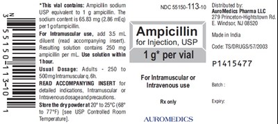 ampicillin-fig5.jpg PACKAGE LABEL-PRINCIPAL DISPLAY PANEL - 1 g Container Label - ampicillin fig5