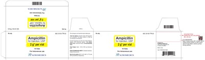 ampicillin-fig8.jpg PACKAGE LABEL-PRINCIPAL DISPLAY PANEL - 2 g Carton Label - ampicillin fig8