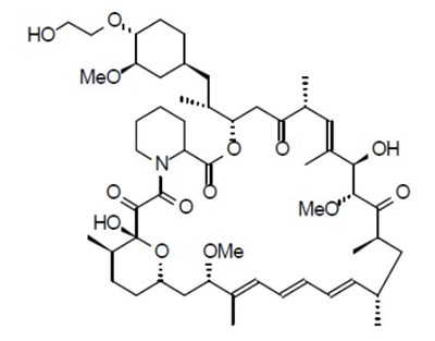 Everolimus Structural Formula - image 01