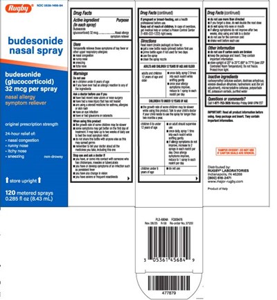 Budesonide 32 Mcg (Budesonide Nasal Spray 1)