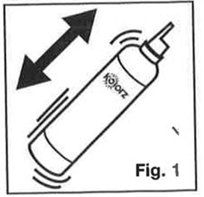 Fig. 1 (Kolorz 03)