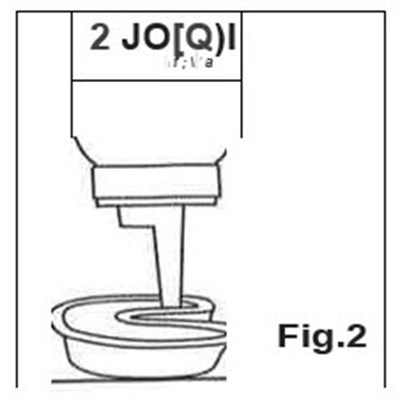 Fig. 2 (Kolorz 04)