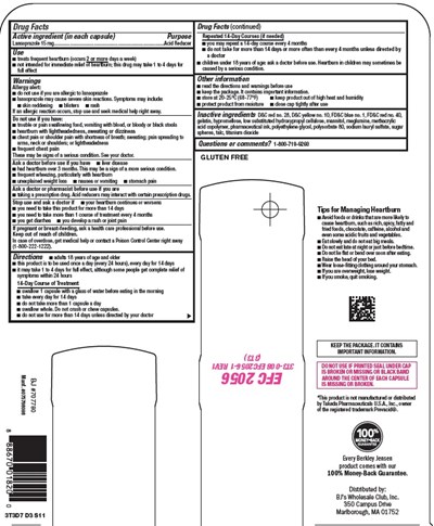 Berkley-jensen-lansoprazole-stretch-card-image-2.jpg (Berkley Jensen Lansoprazole Stretch Card Image 2)