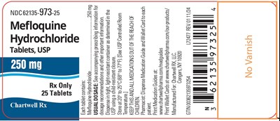 "image Description" (Mefloquine Hydrochloride Tabs 250mg 25s Bottle Label)