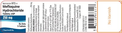"image Description" (Mefloquine Hydrochloride Tabs 250mg 5s Bottle Label)