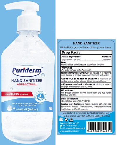 Principal Display Panel (1,000 mL Bottle)