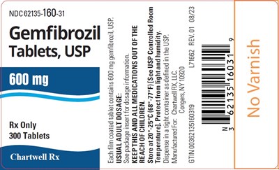 Image Description (Gemfibrozil 300 Tablets Label)