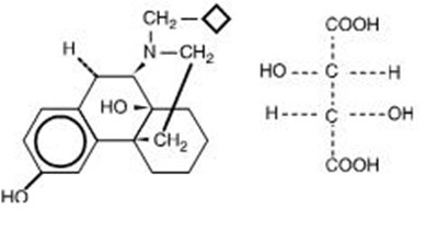 structure.jpg - structure