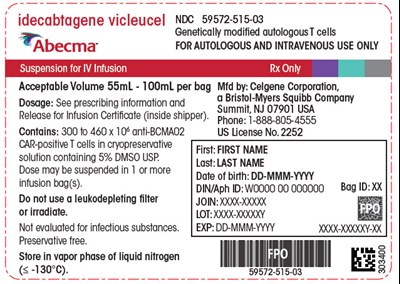 Principal Display Panel (100 mL Bag Label)