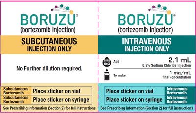 1 (Boruzu Bortezomib Injection 11)