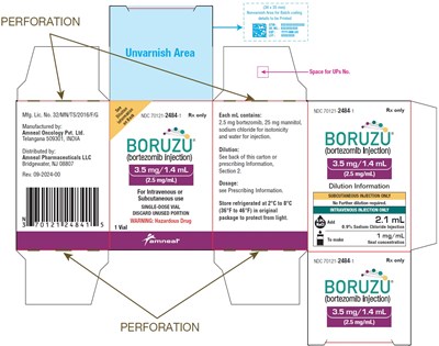 1 (Boruzu Bortezomib Injection 9)
