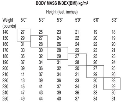 figure 01 bmi index