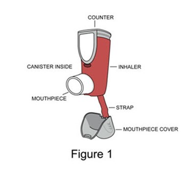 Figure 1 (Image 03)