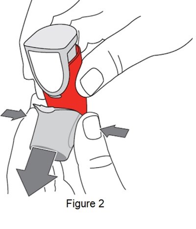 Figure 2 Gray Arrows (Image 04)