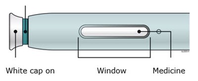 Guide To Parts (Aimovig 08)