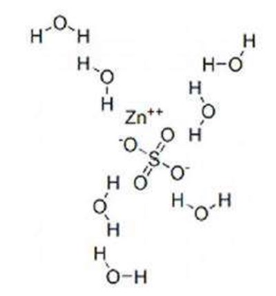 Structure.jpg (Structure)