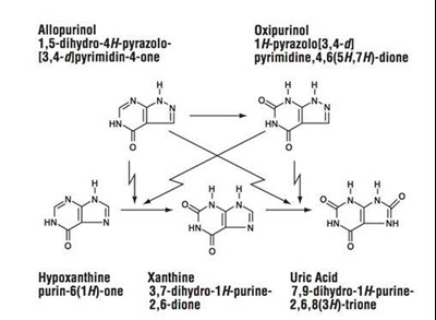 allopurinol-02 - allopurinolranbaxy figure 02