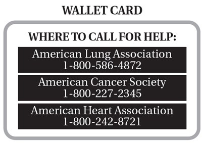 Wallet (Image 06)