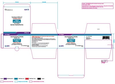 Carton Label (00c19b78 6b55 4936 8f94 4b65f2435fe3 02)