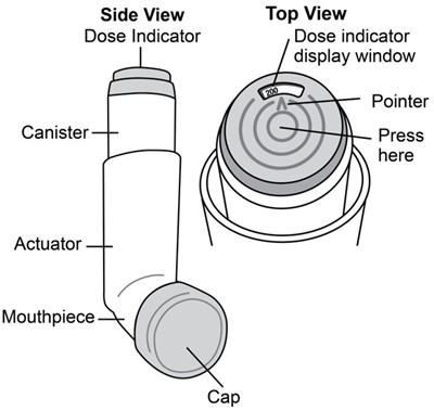 Albutfig1 - albuterol3
