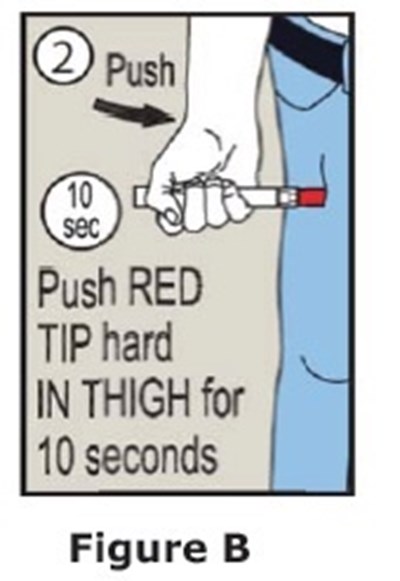 Epinep5 - epinephrineInj5