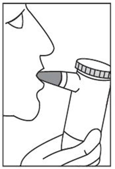 Figure 6 (Ifu Figure6.jpg)