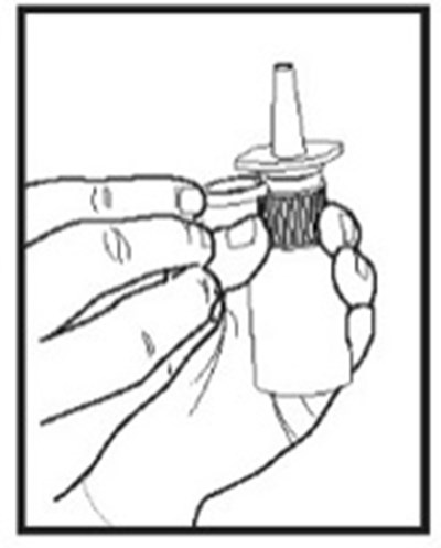 Image Description (Ipratropium Bromide Nasal Spray Figure 1)