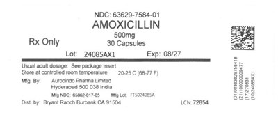 Label Image (Lbl636297584)