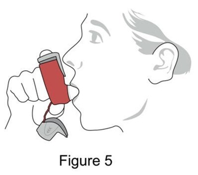 Figure 5 (Image 07)