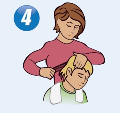 picture 4 - image 04