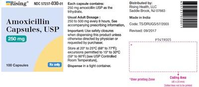 PACKAGE LABEL-PRINCIPAL DISPLAY PANEL - 250 mg (100 Capsules Bottle) - amoxicillin fig1