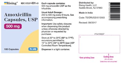 PACKAGE LABEL-PRINCIPAL DISPLAY PANEL - 500 mg (100 Capsule Bottle) - amoxicillin fig2