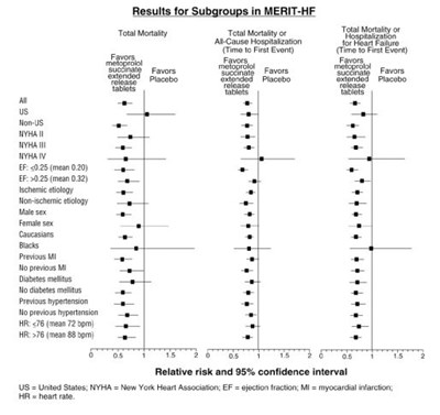 Merit Graphic (Image 02)