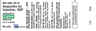 Ampicillin For Injection, Usp 2 G Label Image (Image 05)