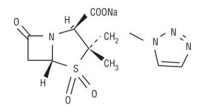 taz-structure - taz 2