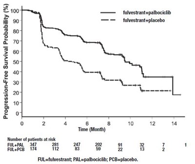10 (Fulvestrant Injection 10)
