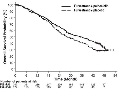 1 (Fulvestrant Injection 11)