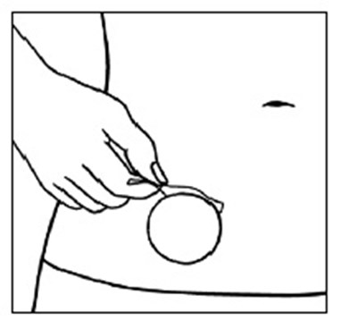 image description - twirla application 7