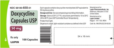 e4e6b036 db43 4695 bbfe 3aea1790b67e 02