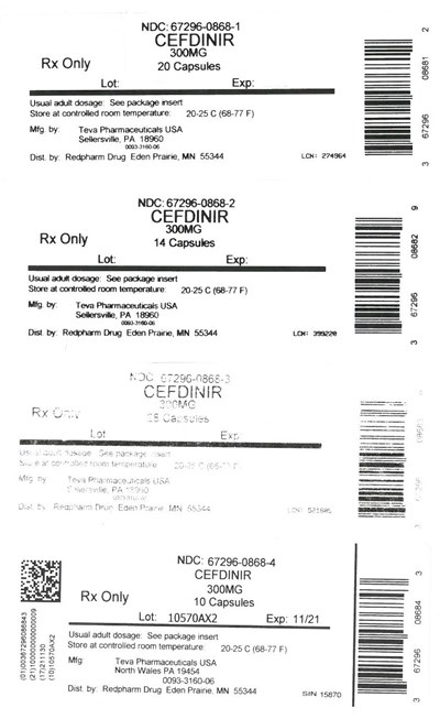 EPM LABEL - 67296 0868