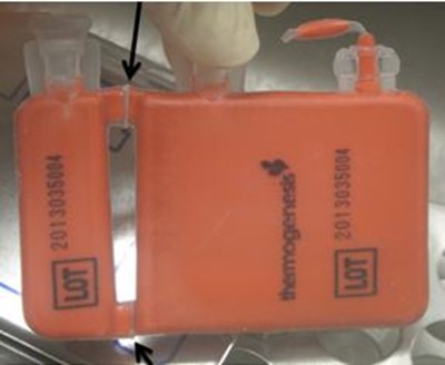 Figure 4b (Hemacord Figure 5)