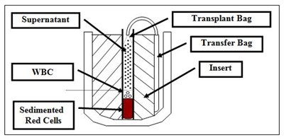 Figure 8 (Hemacord Figure 9)