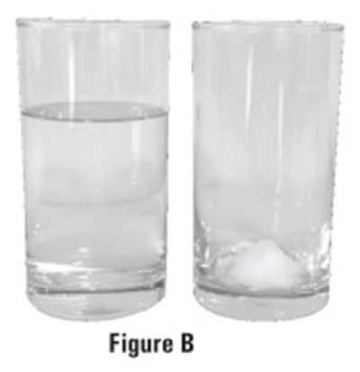 4 (4)