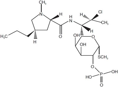 Clinda-structure.jpg (1)