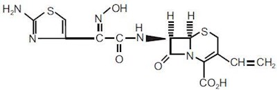 Chemical Structure (Cefdinir Str)
